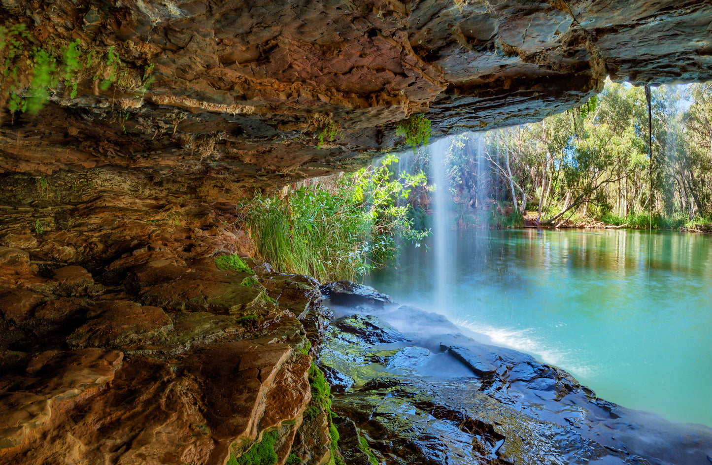 Fern Pool Waterfall - Dales Gorge