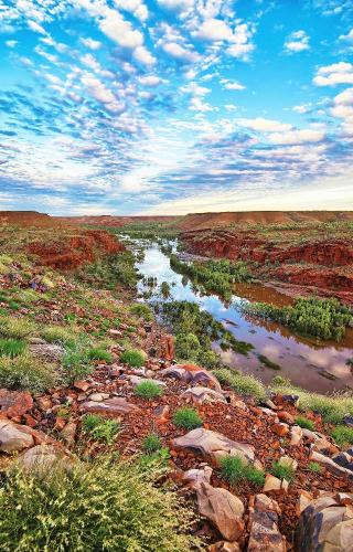 Wicked Fortescue - Millstream National Park
