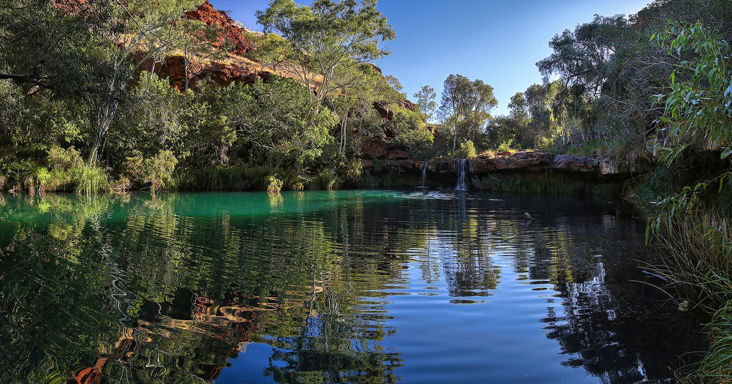 Fern Pool - Karijini NP