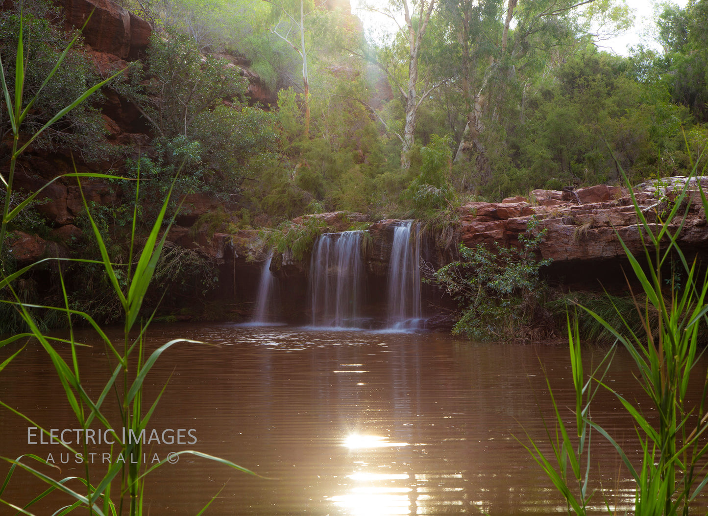 Fern Pool- Dales Gorge