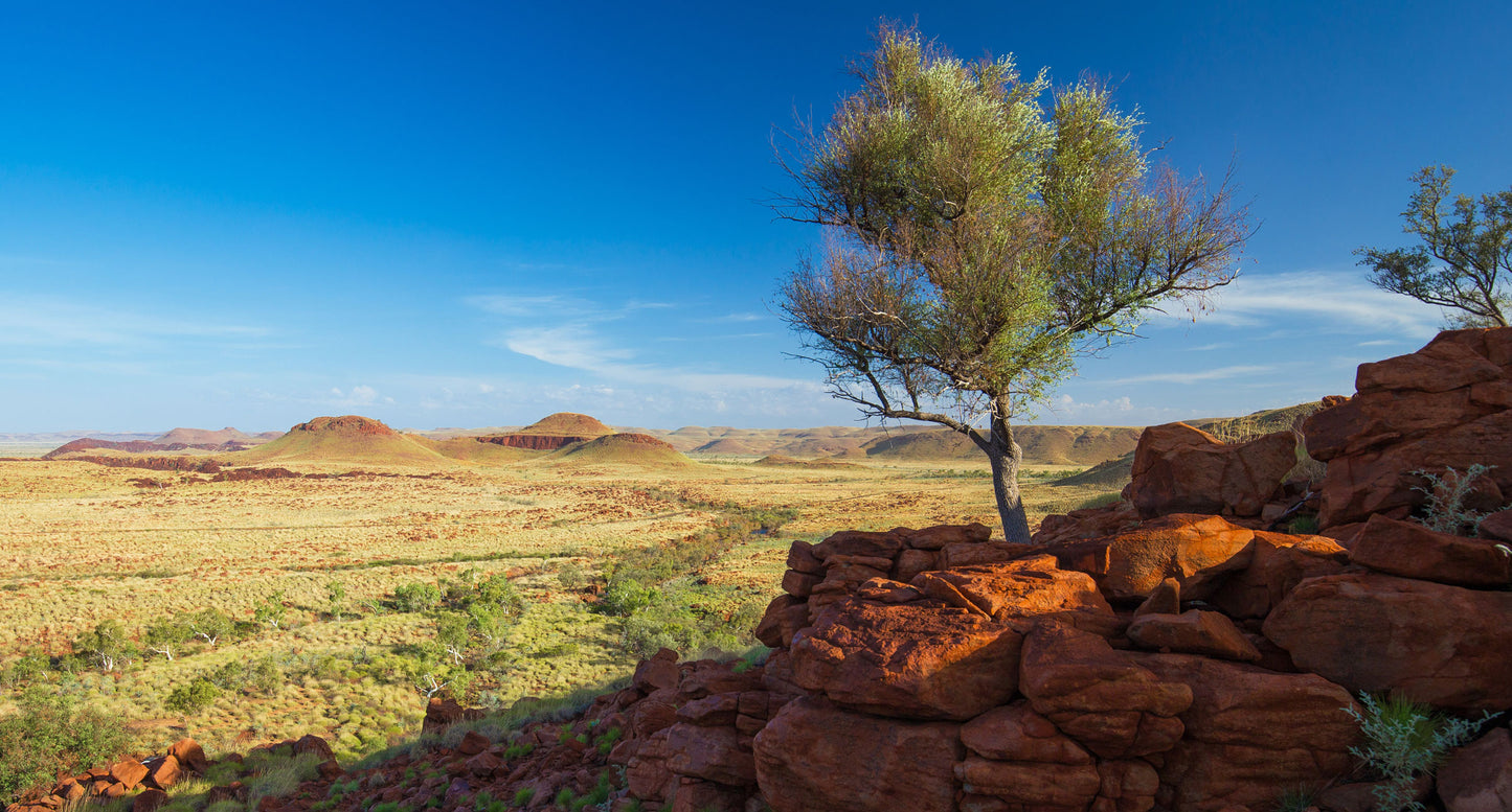 Millstream Landscape