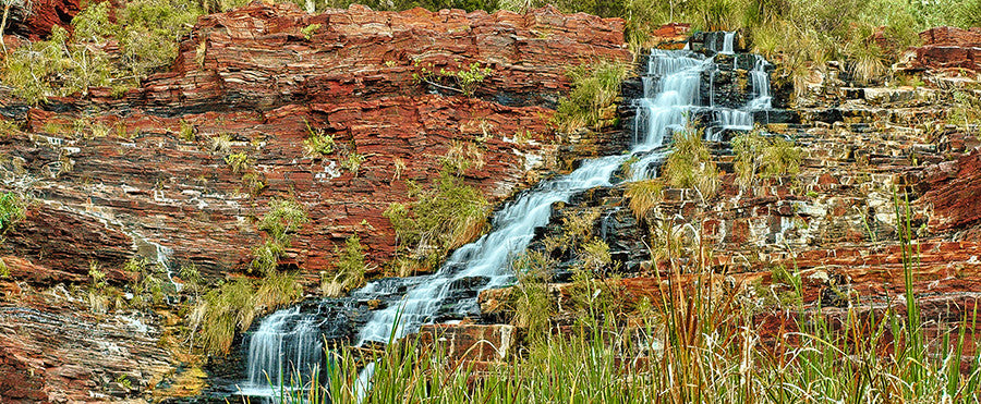 Fortescue Falling