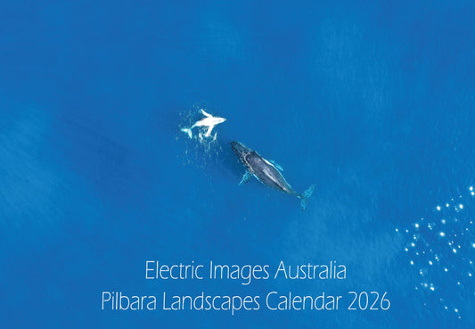 2026 Pilbara Landscapes Calendar Pre Order