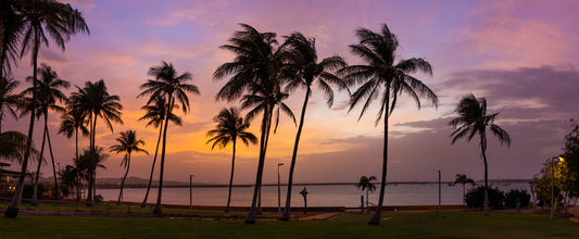 Dampier Palms Sunset