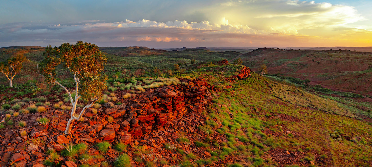 Pilbara country in the wet season