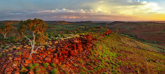 Pilbara country in the wet season