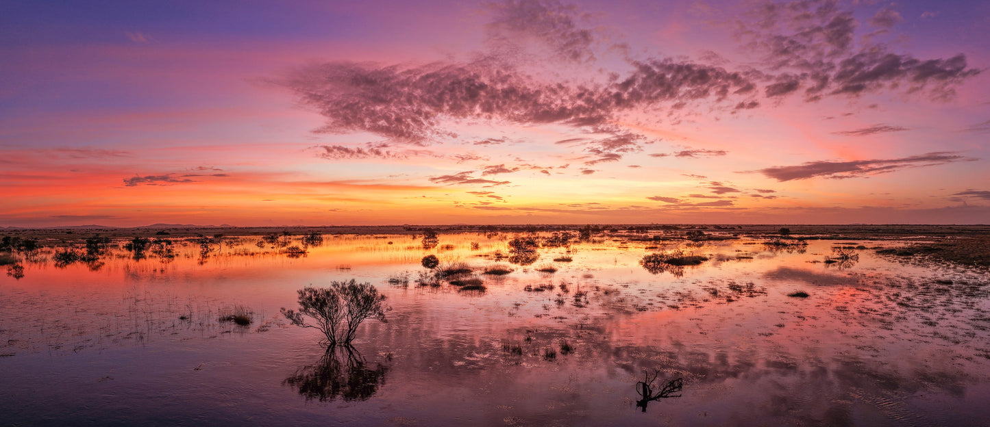 Pilbara Floodplains