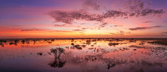 Pilbara Floodplains