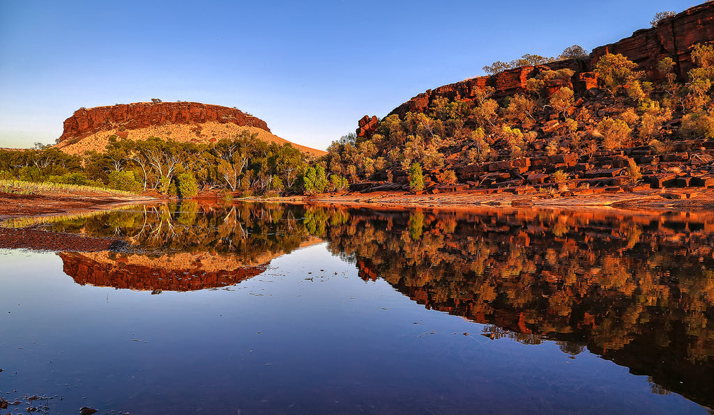 Fortescue River Reflections